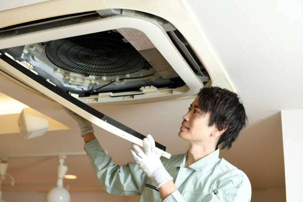 Air Duct Mold Removal in Riddle, OR